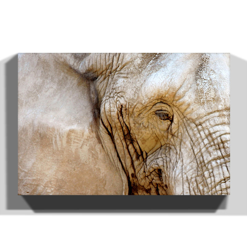 Wrapped Canvas Print, 50cm H x 76cm W