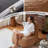 Shell-shaped Bean Bag Chair-13304666