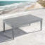 Whitman Metal Coffee Table-659137483