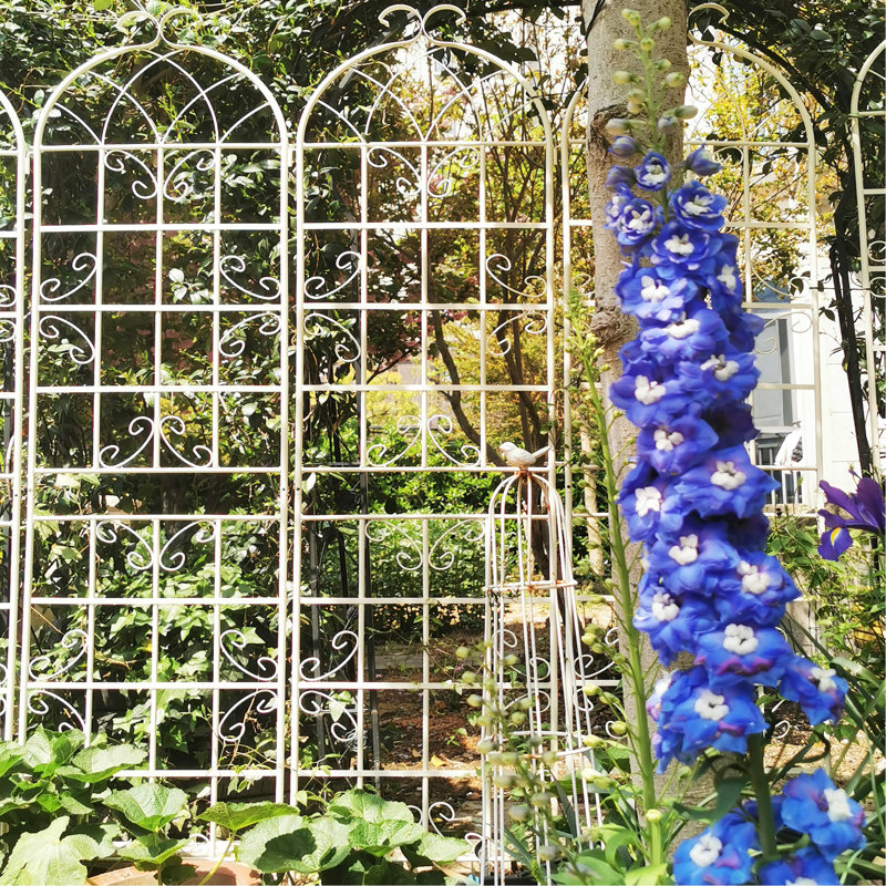 Treillis de jardin en métal 86,7 po x 19,7 po sur 2, rouille blanc crème, pour plantes grimpantes: jasmin, raisin, concombre, ensemble de 2 treillis facile à assembler, antirouille, supporte les plantes, haricots, installation rapide