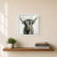 Vache Highland-276928949-276928951