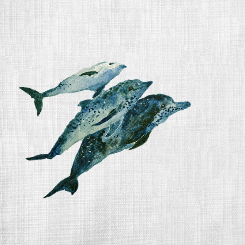Nautical Sea Life_551 - Coussin décoratif inclus, H 14 po x l 14 po