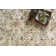 Magdy Indoor Rug