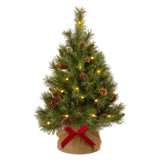 3ft. Pine Cone Tree in Burlap Base with LED Lights