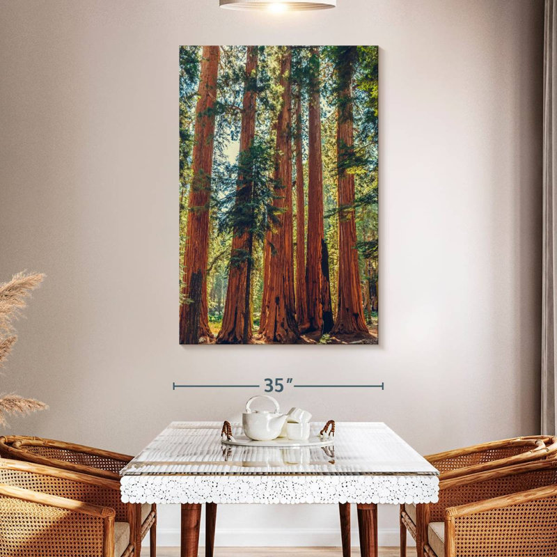 Séquoias Harnek dans le parc Sequoia, H 51 po x l 34 po