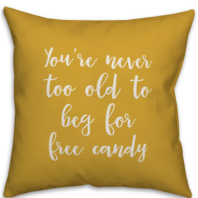  Housse de coussin carré et insert