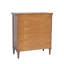 Armoire décorative à portes à panneaux à lattes 32 po Druzella-114241387