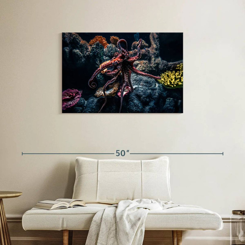 Brampt Octopus Habitat, 24" H x 36" W