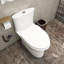 Toilette allongée 1 pièce à double chasse 1,1 / 1,6 GPF avec siège blanc incluse