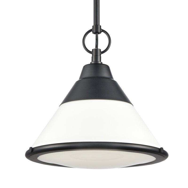 Luminaire suspendu 1 lumière de 12 po de large Sven - noir mat, Noir