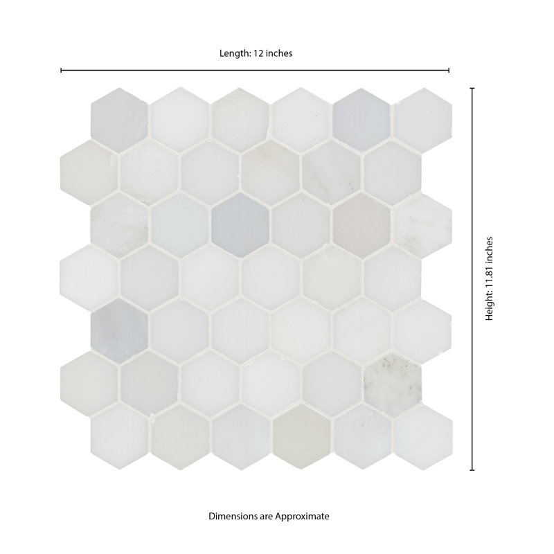 Iona Mist Hexagon 12 in. x 12 in. Polished Marble Mosaic Floor and Wall Tile