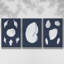 Nouveau Decorative I - Ensemble de 3 reproductions sur toiles-763181688-763181689