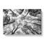 Vaulted Tree Branches - Wrapped Canvas-56643367