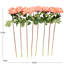 Tige de pivoine artificielle Cole and Grey-579464063-579464062