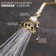 6 Jet 2.5 GPM Multi Function Adjustable Shower Head