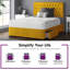 Gallego Divan Bed Base-386542522-386540455-386540454