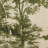 Toile Tapestry With Hanger-Toile Moss-357427129