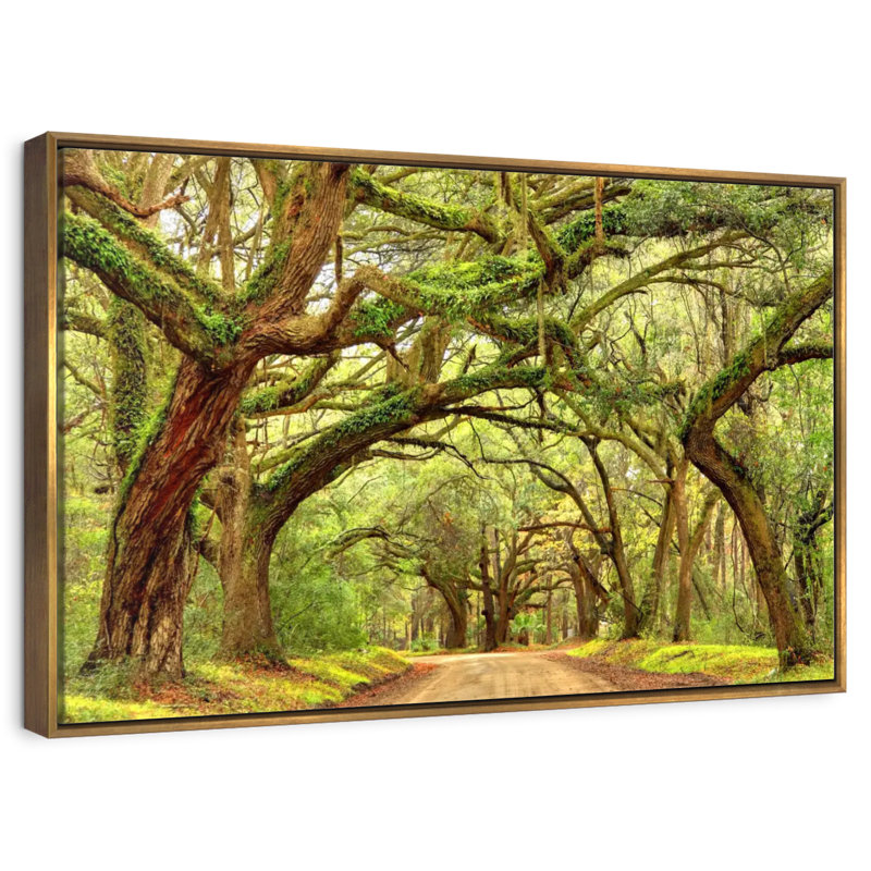 Charleston Oak Forest, Cadre flottant doré, 31 po x 21 po
