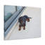 Art mural majestueux, impression de teckel-726959656