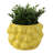 Textured Stoneware Ceramic Planter with Sculpted Bulbous Design and Integrated Drainage Hole for Indoor Outdoor Display-269104231-268494358