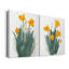 Daffodil Bunch I - Toile tendue avec châssis de qualité supérieure - Prêt à accrocher-108969850
