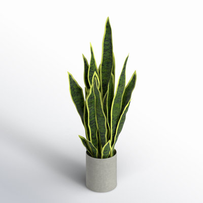 Artificial Sansevieria Snake Plant in Pot