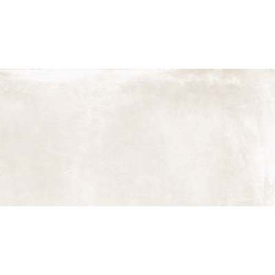 Caementum Albus 24"x48"