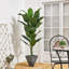 160cm Faux Plant in Nursery Pot