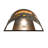 Jahzeel Steel Flush Mounted Sconce