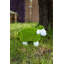 Coopersville Plastic Garden Statue