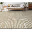 Hand Knotted Geometric Area Rug in Brown/Ivory-1717598984