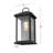 Merideth Outdoor Wall Sconce in Black-930438893