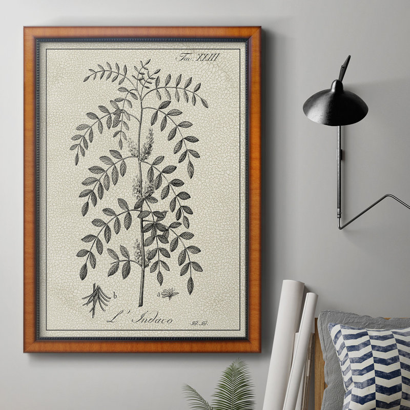 Toile encadrée botanique antique noire et blanche de qualité supérieure - prête à être accrochée, H 20 po x l 16 po