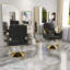 Chaise de salon hydraulique (paquet simple)