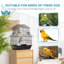 Avelyn 63cm Steel Pointed Top Floor Bird Cage with Perch