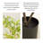 Minimalist Artificial Bamboo Potted Plant Indoor Decor Greenery