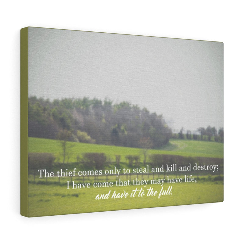 They May Have Life 1 Piece Wrapped Canvas Wall Art, 28cm H x 36cm W