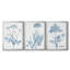 Antique Botanical In Blue IV - Ensemble de 3 peintures sur toile encadrées-855640583-855640582