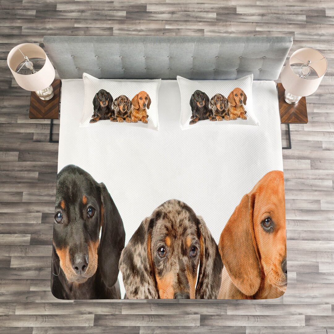 Gestepptes Bettdecken-Set, Verschiedene Farb Hunde Lays, Dackel, Dunkle Taupe Grau Taupe