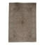 Oriental Area Rug in Brown