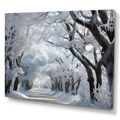" Winter Frosty Forest I "