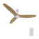 52-Inch Ceiling Fan with Remote Control