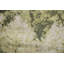 Tapis indien à motif abstrait vert All-Over 5 x 7
