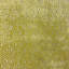 Tribal Cut Velvet | Alexandra Fabric_ALEXANDRA-955399592