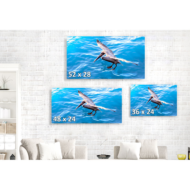 «Mccutchen Pelican on the Bubble», reproduction d'art graphique sur toile tendue, H 16 po x l 24 po x 1,5 po