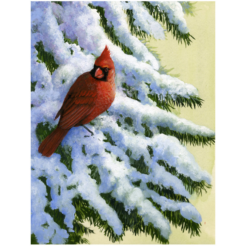 Drapeau de jardin à 2 côtés red cardinal par daphné baxter, H 15 po x l 11 po
