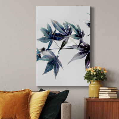" Blue Maple II "