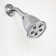 Anystream Pure 2.0 GPM Multi-Function Adjustable Shower Head with Filter