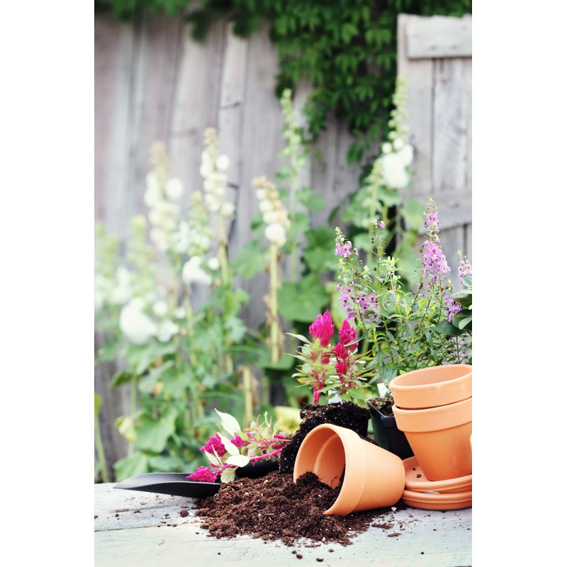 Flower Pots by StephanieFrey - Wrapped Canvas Print, 122cm H x 81cm W