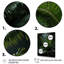 Palmiers dans la jungle II - impression-504146241-504146250